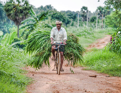 A Small Time Farmer In Brazil Becomes The 2nd Largest Producer Of Soybeans With The Power Of IT
